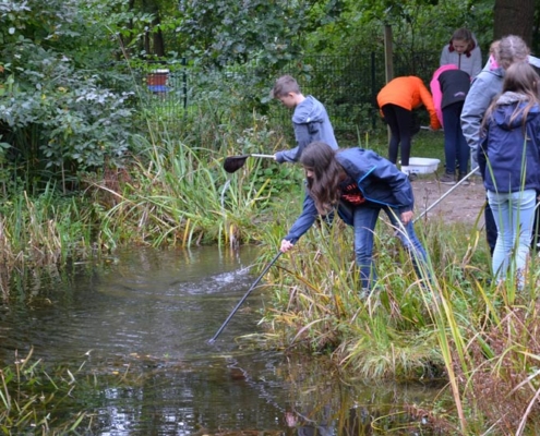 Klosterschule-Projektunterricht: Wasserprojekt Foto Klosterschule-Projektunterricht: Wasserprojekt