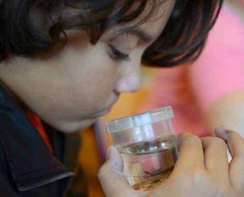 Klosterschule-Projektunterricht: Wasserprojekt Foto Klosterschule-Projektunterricht: Wasserprojekt